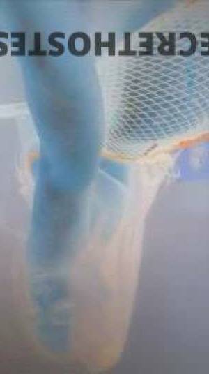 Serenity 28Yrs Old Escort Flint MI Image - 2