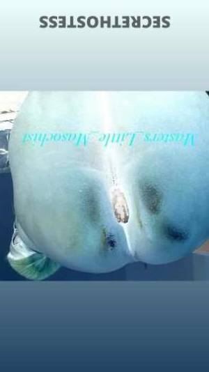 TerraSparxxx 30Yrs Old Escort Manhattan NY Image - 2