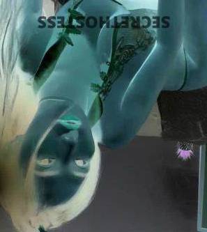 22Yrs Old Escort Size 8 48KG 166CM Tall Adelaide Image - 3
