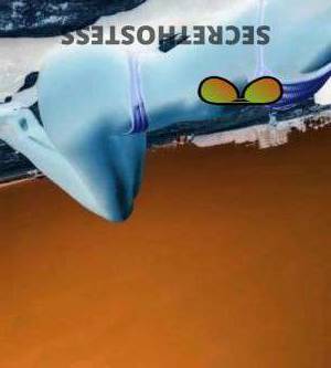 21 year old Australian Escort in Mansfield Brisbane Australian Escort Blonde Chloe Petite, Naughty, and 