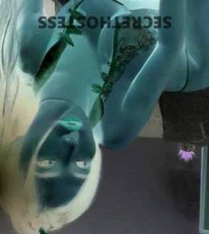 22Yrs Old Escort Size 8 48KG 166CM Tall Adelaide Image - 3