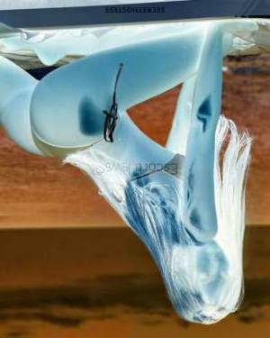 22 year old European Escort in Tel Aviv Meet Alex, the Steamy 22 Year Old European Escort with 