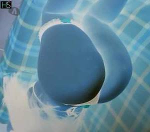 22 year old White Escort in Aparecida Sao Paulo Unforgettably Unforgettable Duda, Seductive Brazilian Beauty