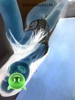 23 year old Latino Escort in North Jersey Cuckold Phone Sex BBC Addiction, Small Penis Humiliation 