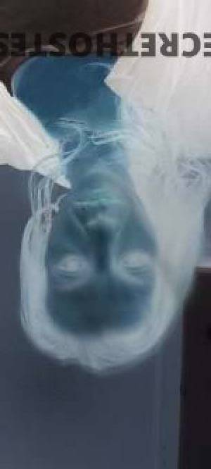 31 year old Escort in Shortland Newcastle Your Pleasure is My Pleasure