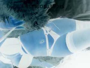 42Yrs Old Escort Sunshine Coast Image - 7