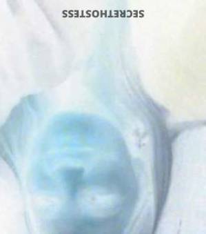 35 year old Escort in South Bend IN Sensual Massage and Attentive Companionship in Indiana