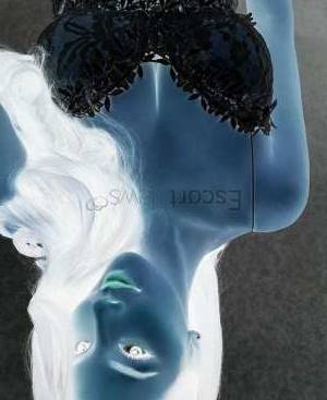 0 year old Escort in Tokyo Introducing Laila - Tokyo's Ravishing Escort