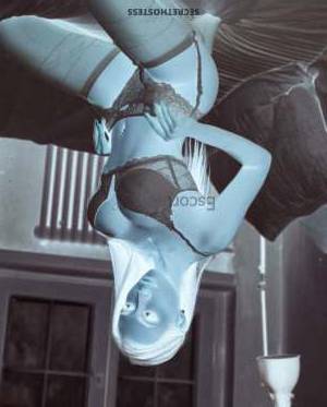 25 year old European Escort in Warsaw European Escort Sofia Tempting, Slim, and Curvy Companion 