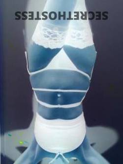 37Yrs Old Escort Size 8 48KG 156CM Tall Gold Coast Image - 2