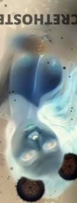 Experience the Ultimate Pleasure Naughty Snapchat Sex Videos in Newcastle