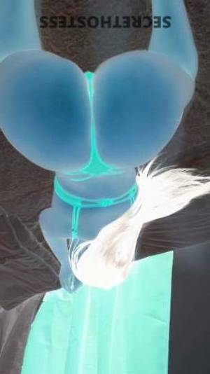 23 year old Escort in San Jose CA 23Yrs Old Escort San Jose CA