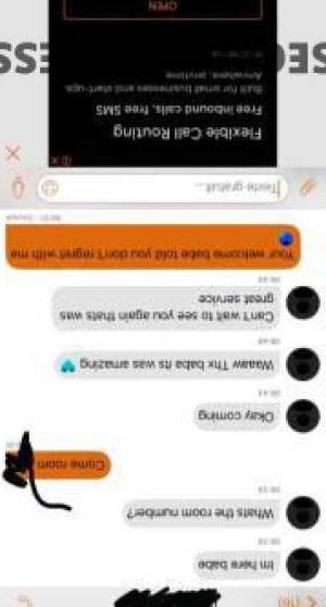 24 year old Escort in Alexandra Headland Sunshine Coast Sydney's Hottest Porn Star Miss Alexandra Headland