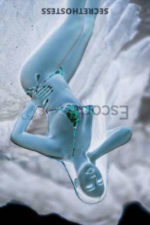 26 year old Asian Escort in Phuket Asian Escort Kitty - The King Maker