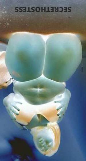 27Yrs Old Escort Raleigh NC Image - 4