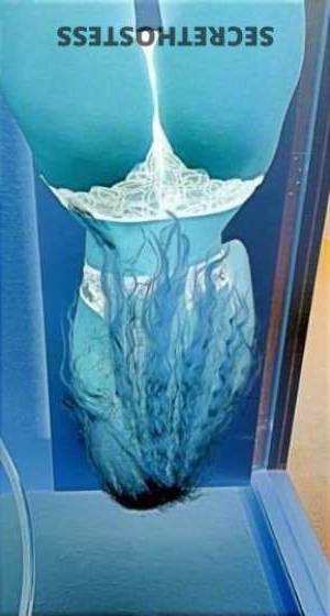 31Yrs Old Escort Phoenix AZ Image - 1