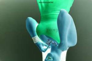 33Yrs Old Escort 47KG 161CM Tall Bogota Image - 3