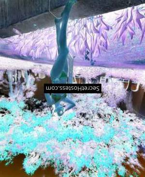 Alize 26Yrs Old Escort 69KG 165CM Tall Yerevan Image - 3