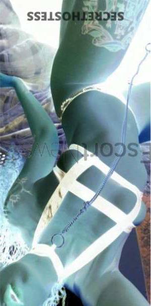 Chloe 23Yrs Old Escort 63KG 182CM Tall Denver CO Image - 2