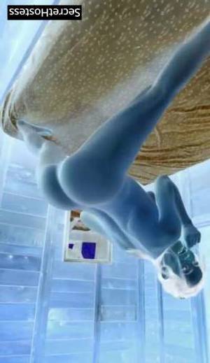 26 year old Middle Eastern Escort in Washington DC Experience the Delights of Claraairan Sensual, Seductive, 