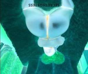 GiGi 27Yrs Old Escort Columbus OH Image - 2