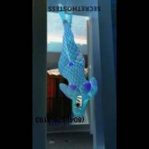 Honey 24Yrs Old Escort Knoxville TN Image - 11