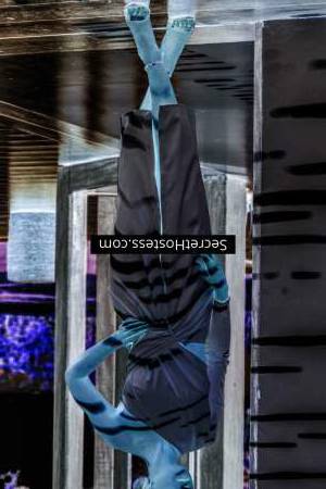 0 year old Caucasian Escort in Agency escort girl in: Brussels Seeking Bisexual Beauty