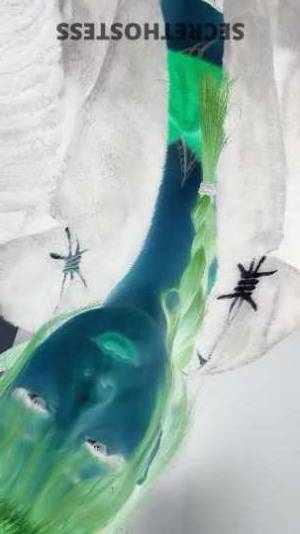 Molly 25Yrs Old Escort Phoenix AZ Image - 10