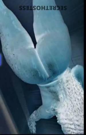 Sweets 28Yrs Old Escort Washington DC Image - 3