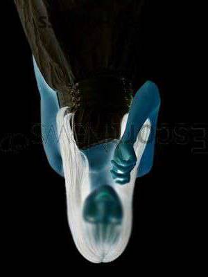 21 year old Asian Escort in Tokyo Meet Matoi Your Sensual Asian Escort with Dreamy Brown Eyes