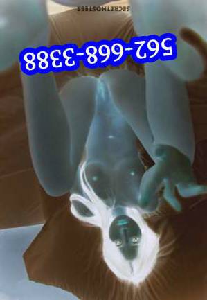 24Yrs Old Escort Los Angeles CA Image - 5