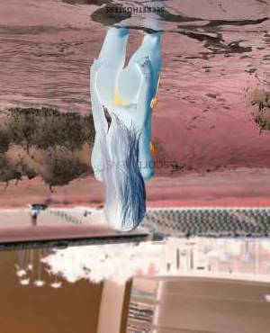 24Yrs Old Escort 49KG 170CM Tall Miami FL Image - 2
