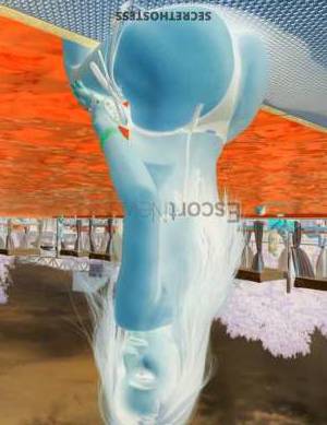 25 year old European Escort in Miami FL European Escort Beatrice Unforgettable Fantasy Come True