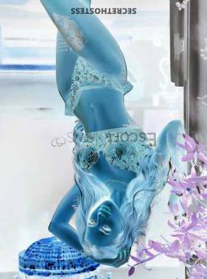 25 year old European Escort in London Experience Explosive Pleasure with Selyne, a 25 Year Old 