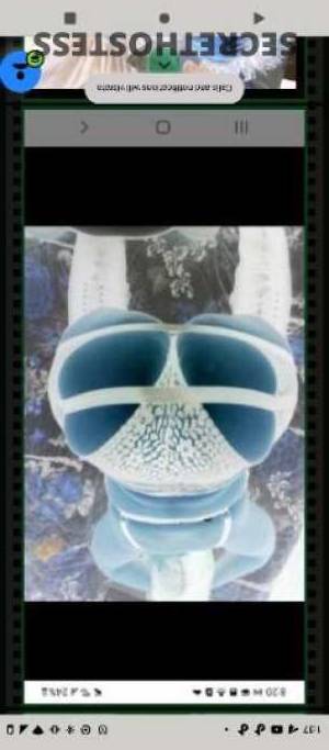 LouLou 45Yrs Old Escort Ogden UT Image - 2