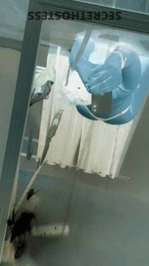 Queen 21Yrs Old Escort Lake Charles LA Image - 3
