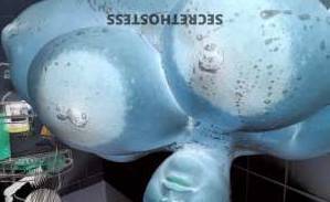 Yasmin 33Yrs Old Escort Palm Bay FL Image - 3