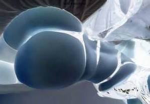 22 year old Escort in San Jose CA Promote Your Desires with the Curvy Latina Of Your Dreams in