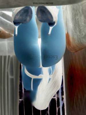 22 year old Latino Escort in Medellin Thalia Vargas Your Ultimate Latina Escort Experience Awaits