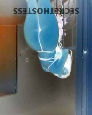 24 year old Escort in Salisbury Adelaide New Girl Porn Salisbury Cream Pie