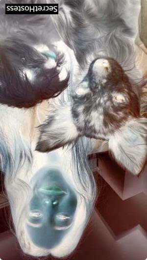 27Yrs Old Escort 159CM Tall Miami FL Image - 3