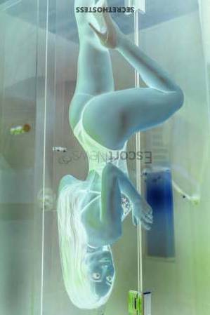27 year old Escort in Sao Paulo Brazilian Escort Bella Bernardi Wants to Play