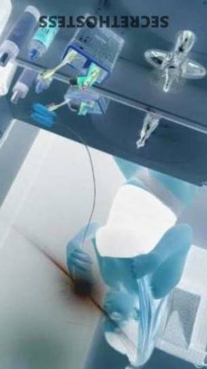 22 year old Escort in San Jose CA ExperienceUnforgettable Satisfaction with Chloe, Your 22-