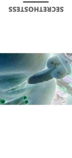 Drew 26Yrs Old Escort Treasure Coast FL Image - 6