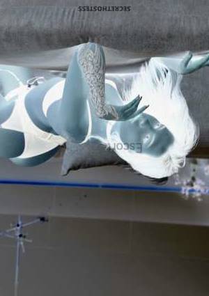 20 year old Escort in Phuket Unforgettable Night with Captivating Model Mila - B-Cup 