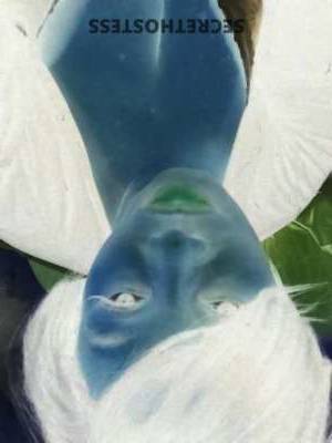 Ms.Kitty 47Yrs Old Escort South Jersey NJ Image - 1