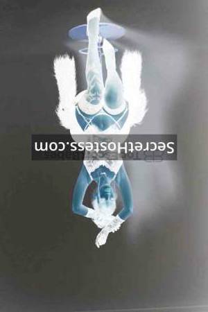 19 year old Ukrainian Escort in Paris Niki, Agency