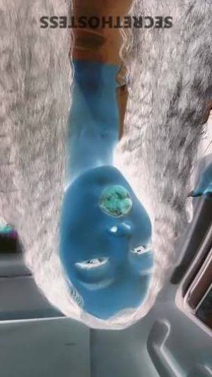 Paradise????? 27Yrs Old Escort Springfield IL Image - 6