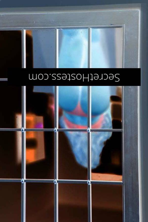 30Yrs Old Escort Size 12 Coffs Harbour Image - 14