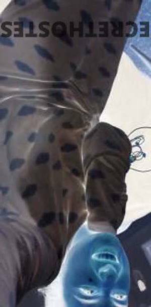 23 year old Indian Escort in Brisbane Indian Girl in Australia Hot and Sexy Escort for Quality 